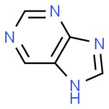 Purine